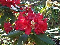05-05-05kodak_135