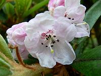 18-06-2006_10-33-18_94