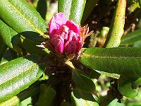 29-05-05kodak_027
