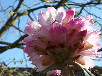 24-04-05kodak_248