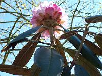 24-04-05kodak_249