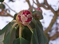17-02-05kodak_028
