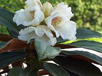 05-05-05kodak_108
