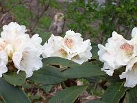 07-05-05kodak_120
