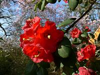 13-04-2007_10-02-57_66