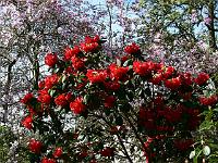 17-04-2007_12-11-32_47