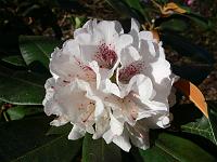 17-04-2007_09-12-26_25