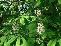 2008-05-09_06-42-12_0101