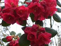 29-04-05kodak_036