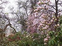 30-04-05kodak_042_2