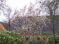 30-04-05kodak_045