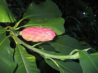 31-08-05canon_006