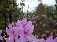 04-05-05kodak_089