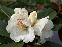 04-05-05kodak_116