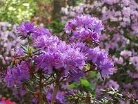 11-05-05kodak_075