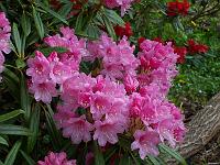11-05-05kodak_086