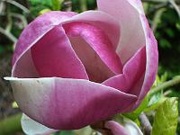 16-05-05kodak_146