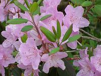 16-05-05kodak_164
