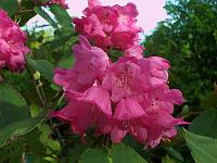 16-05-05kodak_169