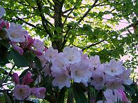 17-05-05kodak_033