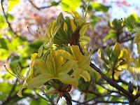 17-05-05kodak_113