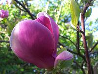 17-05-05kodak_118
