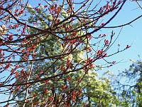 17-05-05kodak_126