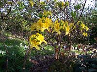 17-05-05kodak_308
