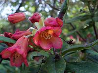 17-05-05kodak_313