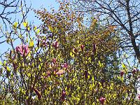 18-05-05kodak_102