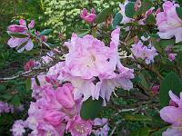 24-05-05kodak_018
