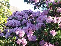 24-05-05kodak_098