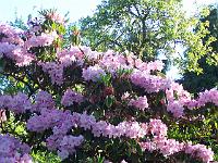 24-05-05kodak_109