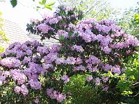 24-05-05kodak_247