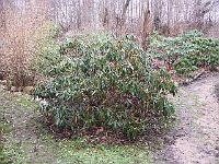 27-03-05kodak_011
