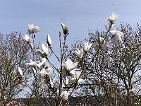 2018-04-22-10-00-10