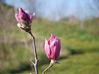 2016-04-22-07-52-06