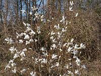 2015-04-16-16-35-03