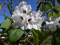 2011-04-18_11-02-43_0004