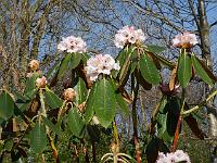 2015-04-22-08-03-43