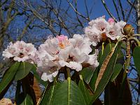 2015-04-22-08-03-53
