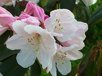 11-05-05kodak_058