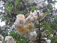 05-07-05kodak_495