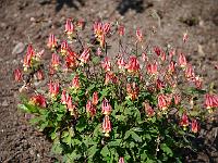 2012-05-25_08-46-28_0189