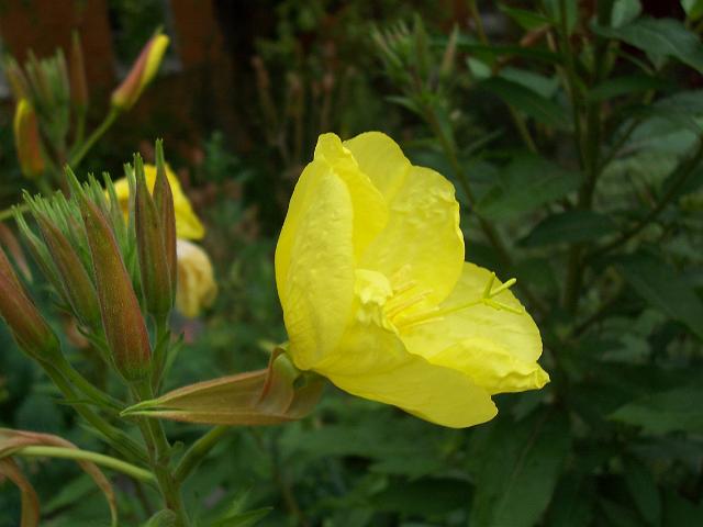 19-07-05kodak_304