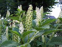 19-07-05kodak_180