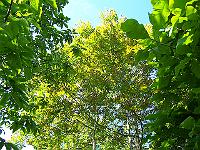18-06-05kodak_230