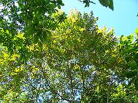 18-06-05kodak_236