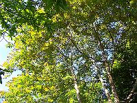 18-06-05kodak_237
