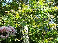18-06-05kodak_243